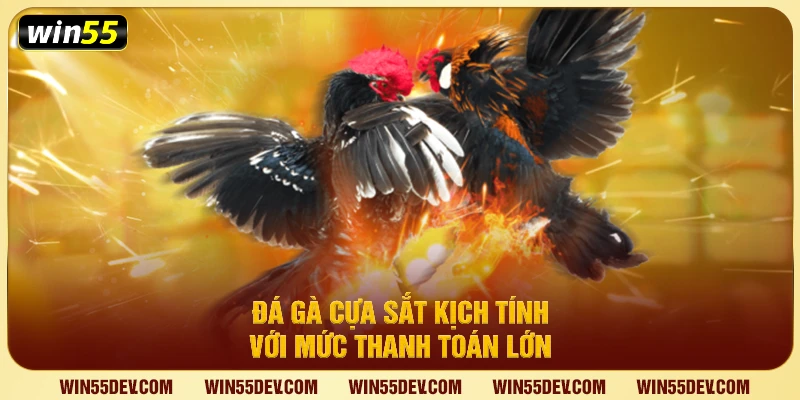 Đá Gà Win55 – Trải Nghiệm Đấu Gà Trực Tuyến Uy Tín Đá gà cựa sắt kịch tính với mức thanh toán lớn