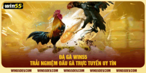 Đá gà win55
