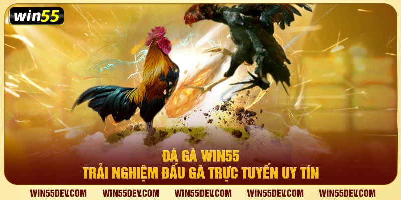 Đá Gà Win55 – Trải Nghiệm Đấu Gà Trực Tuyến Uy Tín Đá gà win55