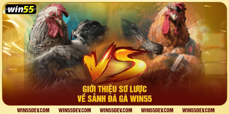 Đá Gà Win55 – Trải Nghiệm Đấu Gà Trực Tuyến Uy Tín Giới thiệu sơ lược về sảnh đá gà Win55