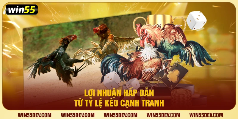 Đá Gà Win55 – Trải Nghiệm Đấu Gà Trực Tuyến Uy Tín Lợi nhuận hấp dẫn từ tỷ lệ kèo cạnh tranh