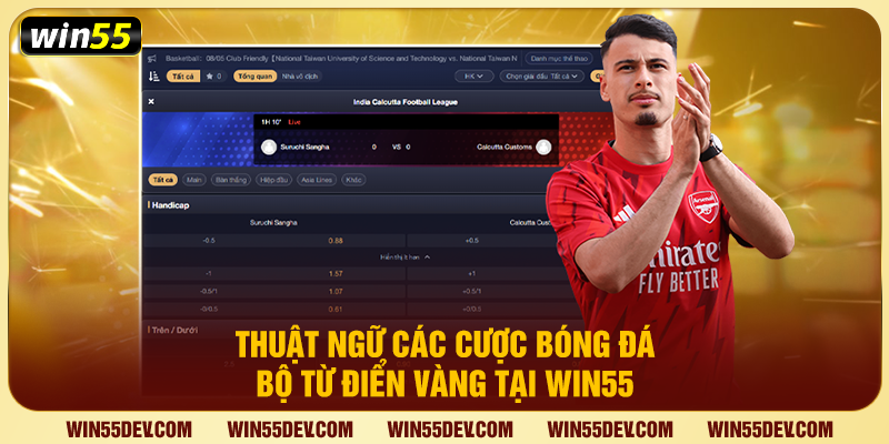 Thuật Ngữ Cá Cược Bóng Đá - Bộ Từ Điển Vàng Tại Win55 Thuật ngữ phổ biến trong kèo châu Á Handicap