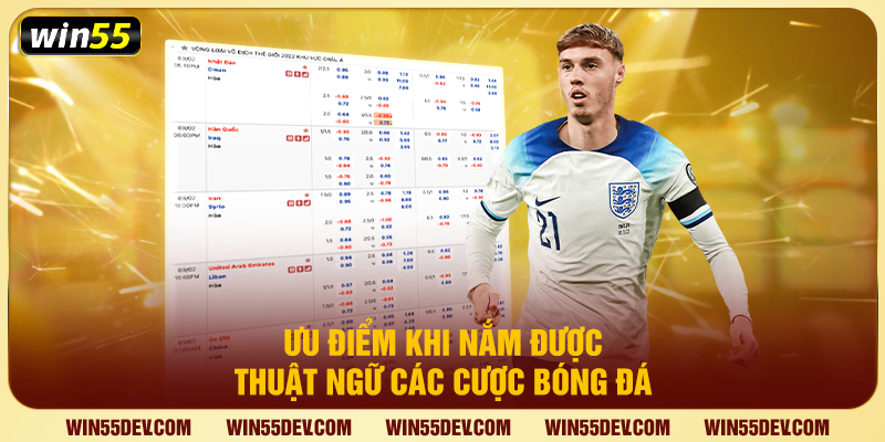 Thuật Ngữ Cá Cược Bóng Đá - Bộ Từ Điển Vàng Tại Win55 Ưu điểm khi nắm được thuật ngữ cá cược bóng đá
